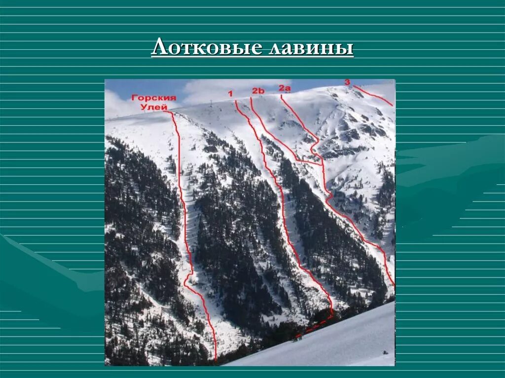 Лавины дата число. Лотковые лавины. снежные лавины лотковые. прыгающие лавины. лотковые лавины фото.
