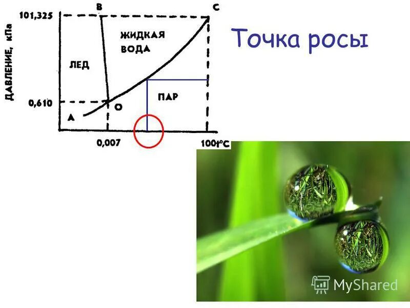 Обозначение росы в географии. Точка росы. Точка росы физика. Точка выпадения росы.