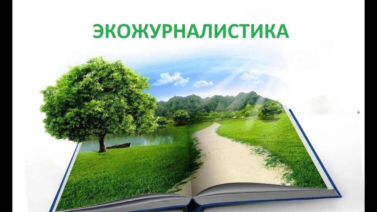 Особенности экологической журналистики. Экожурналистика картины на презентацию. Экожурналистика. Детская экожурналистика. Детская экожурналистика.