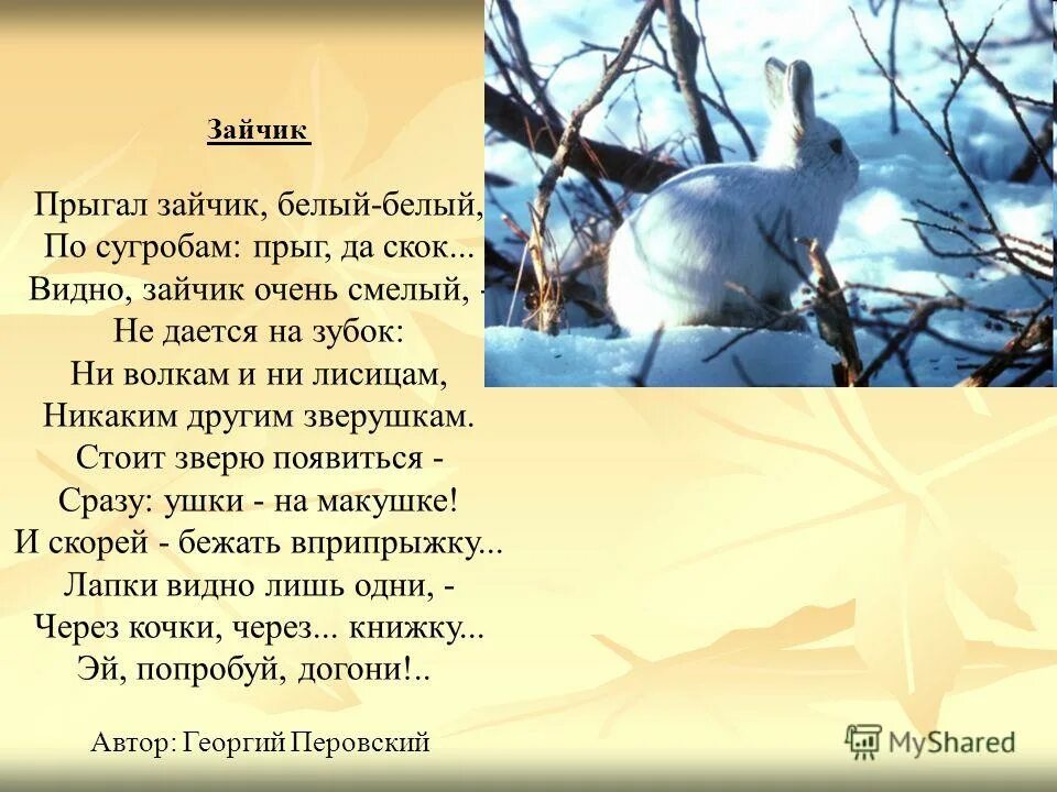 физминутка про зайца для детей. физминутка про зайца для детей. зайчик прыгает прыг скок. как зайчик прыгает как зайчик прыгает. зайчик прыгает прыг скок.