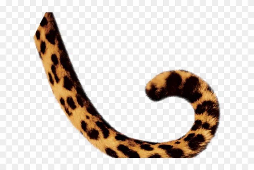 Tail animals