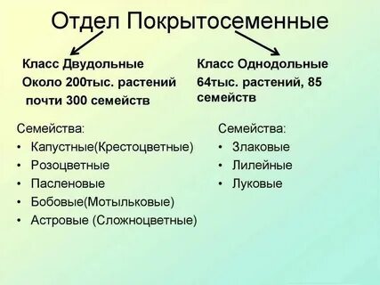 Какой признак позволяет распределять покрытосеменные