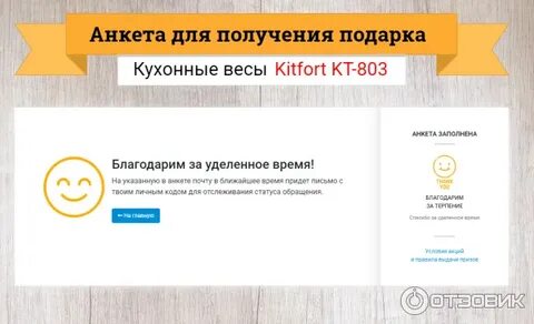 Otzyv kitfort tu