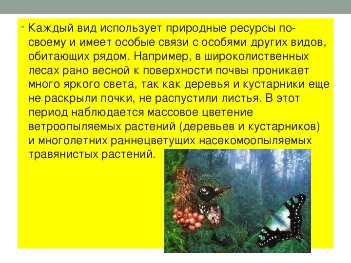 Разнообразие природных сообществ 5 класс конспект. Совместная жизнь организмов в природном сообществе. Совместная жизнь организмов в природном сообществе 6 класс. Сообщества в природе. Жизнь в природном сообществе презентация.