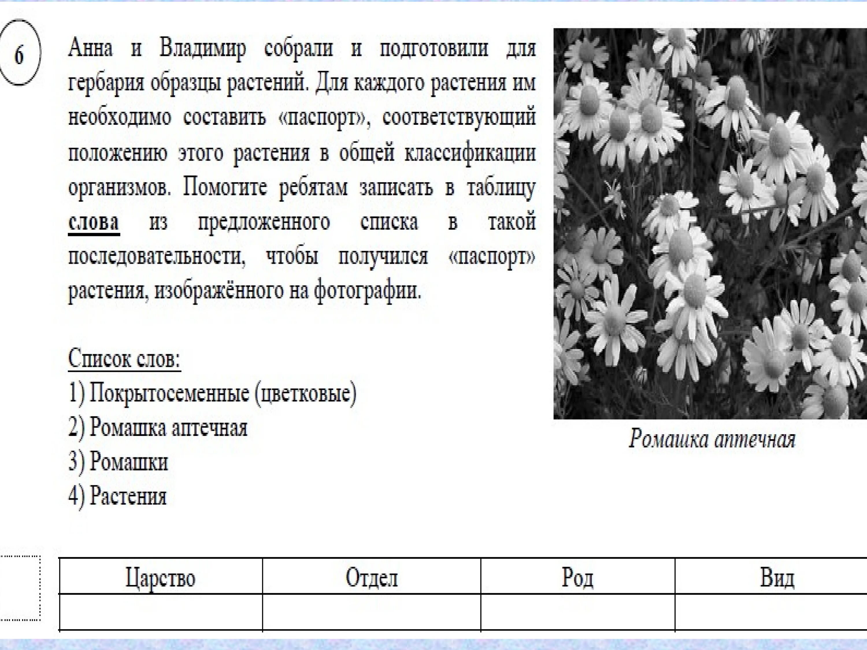 Биология 6 класс задания. Подготовка к ВПР по биологии. Биология 5 класс задания.