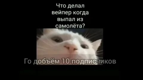 Песня коты мем
