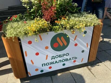 Вкусно и точка сентябрь 2024
