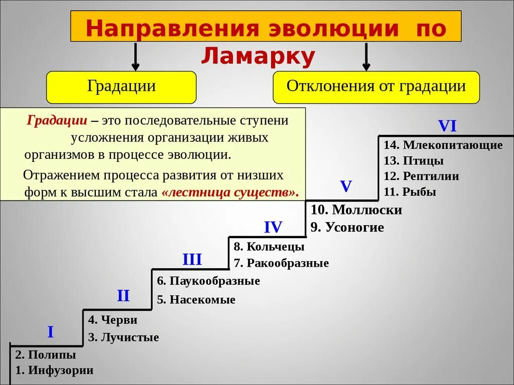 Градация по Ламарку. Эволюционная теория Ламарка. Концепция по Ламарку эволюции. Лестница существ Ламарка. Черты усложнения организации