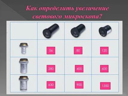 Какое общее увеличение дает
