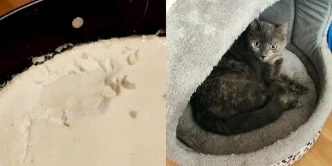 Настоящий скрываться