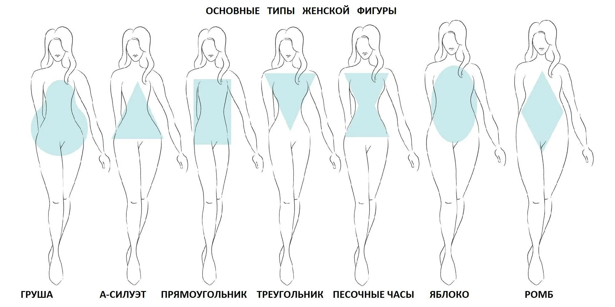 Плотный подобрать. Типы фигур у девушек как определить. Как определить Тип телосложения у женщин. Телосложение женщины рисунок типы. Типы фигуры у женщин как.