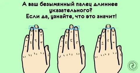 Безымянный больше указательного на руке