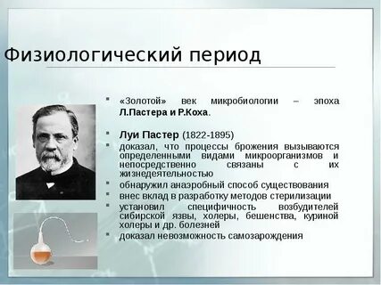 Диагностик пастер