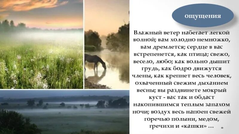 Тургенев светлеет воздух. Бежин луг запахи ночи. Ветер и влажность. Влажный ветерок набегает легкой волной. Край неба алеет светлеет воздух