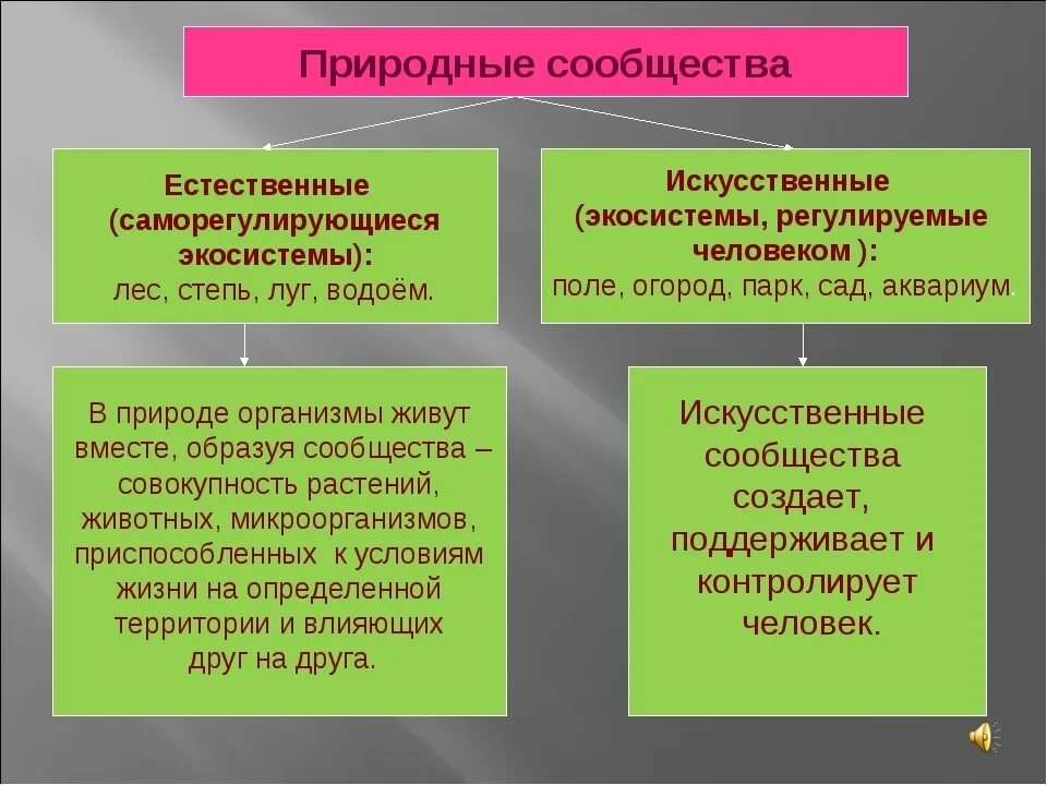 Основные природные сообщества 5 класс