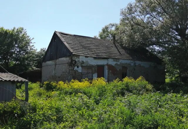 Дом в селе большая Верейка Рамонский район. Село большая Верейка Воронежской области. Малая Верейка Воронежская область. Малая Верейка Семилукского района.