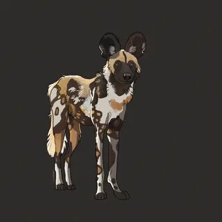 Dog study