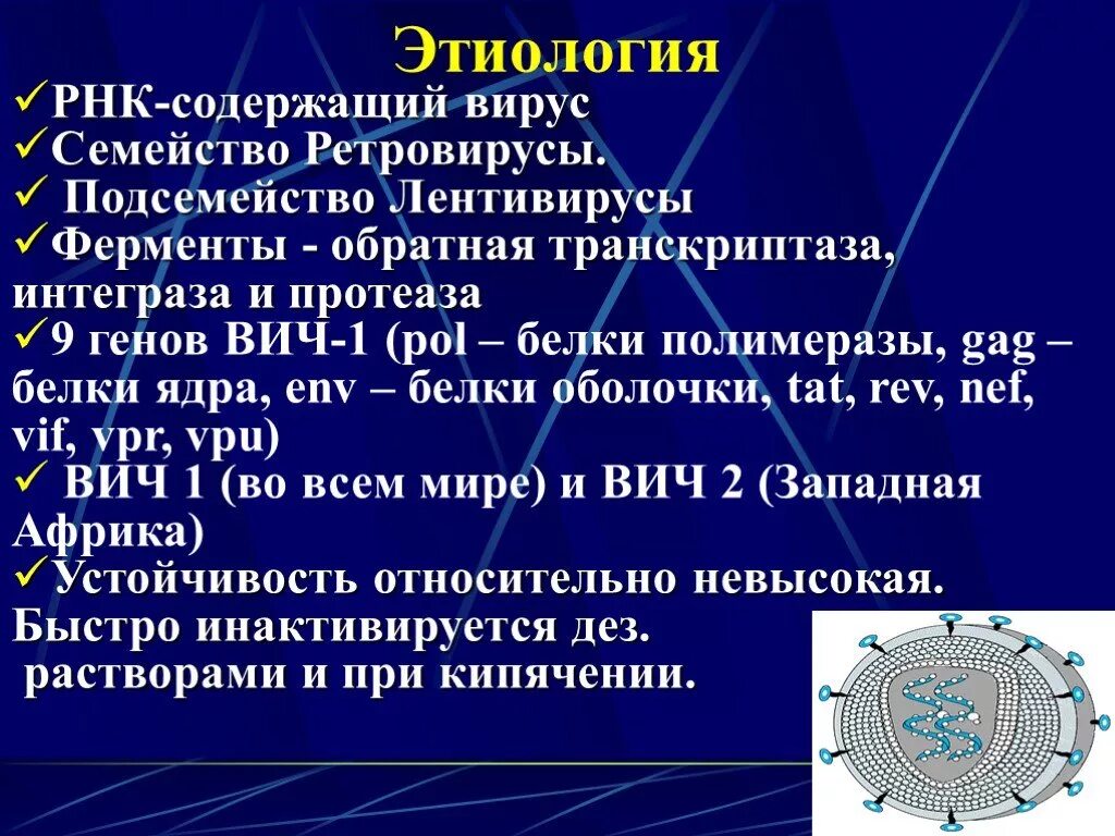 ВИЧ РНК вирус. Строение вируса ВИЧ. СПИД РНК или ДНК вирус. Вирус иммунодефицита человека РНК.