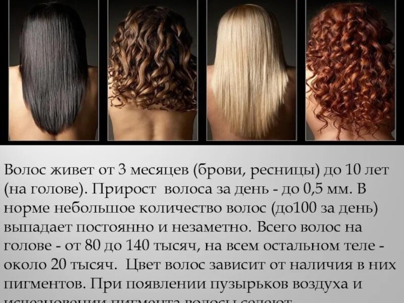Сколько волос есть у человека. Нормальное количество волос. Сколько волос в день выпадает в норме.