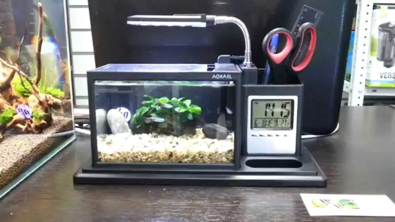 аквариум boyu 26 литров. аквариум органайзер. Aqua me. настольный аквариум. Bellaoggi тональная эмульсия aqua-me 30 мл.