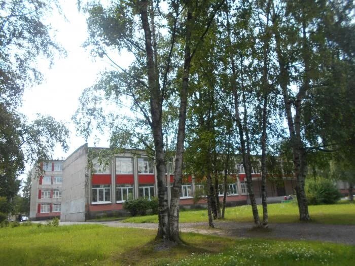 Школа 119 калининского района. Школа 119 калининского района. Школа 119 калининского района санкт-петербурга учителя. Гбоу 119 спб. Спб калининский район школа 119.