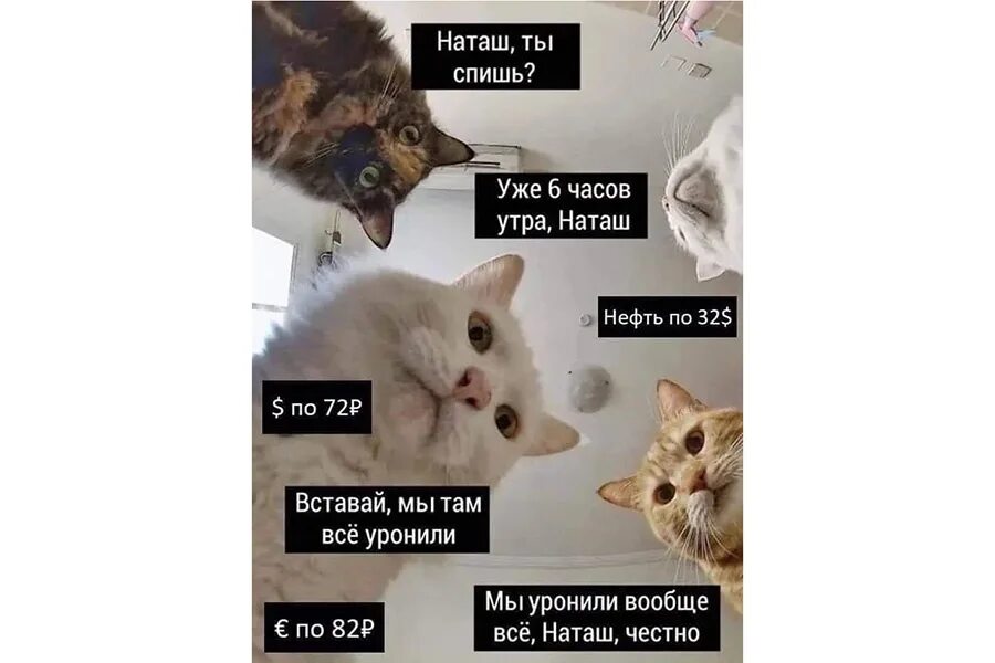 Нас 500 человек в группе. Уже от нас это все. Уже от нас это все. Уже от нас это все. Ура нас 100.
