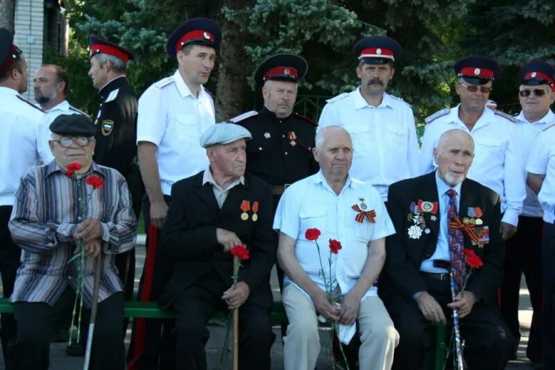 Памяти полковник. Будеев Николай Васильевич ветеран. Митченков Николай Васильевич совет ветеранов. Власов Николай Васильевич Зеленоградский совет ветеранов. День полиции Поныри.