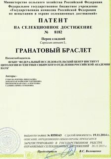 Срок патента на селекционное достижение