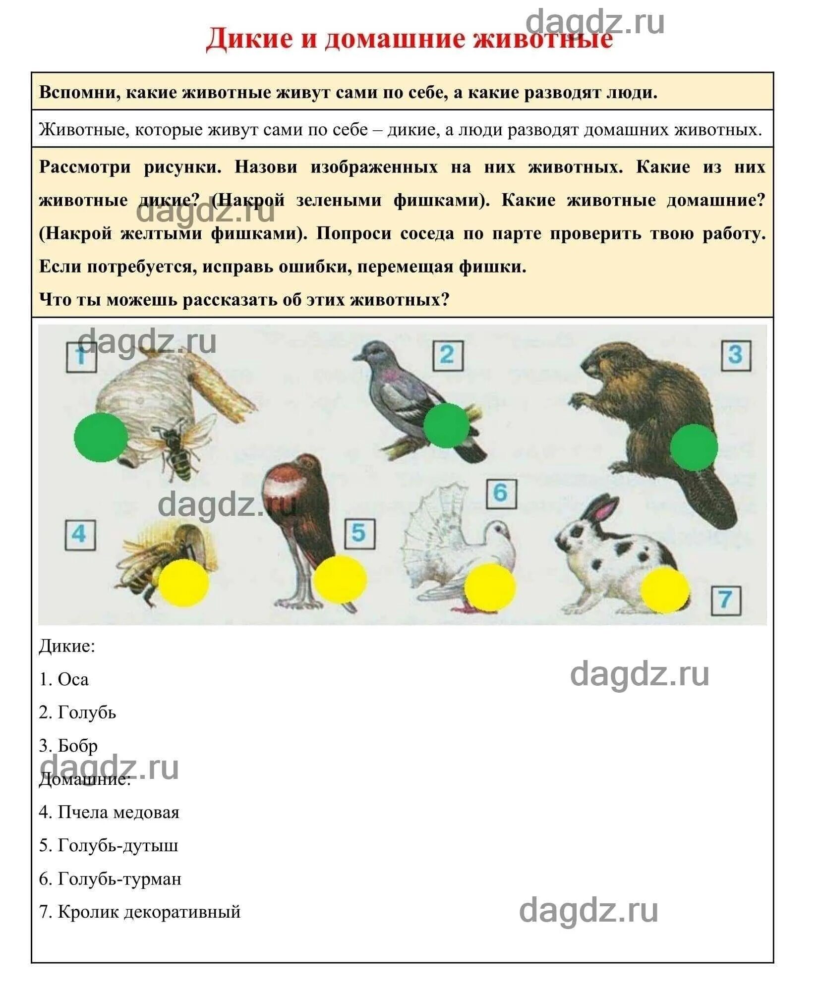 Окружающий мир 2 класс учебник страница 72