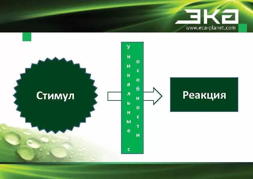 Между стимулом и реакцией. Стимул реакция. Стимул реакция стимул. Стимул реакция картинка.