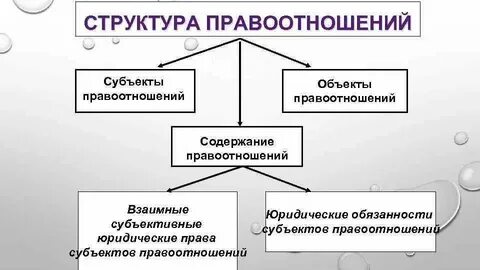 Субъектный состав банкротства