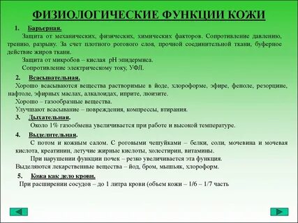 Выводить видеть