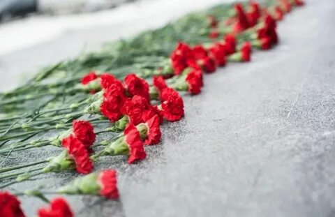15 февраля 2016 года