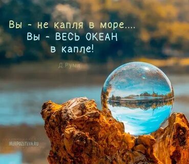 Drop in the ocean