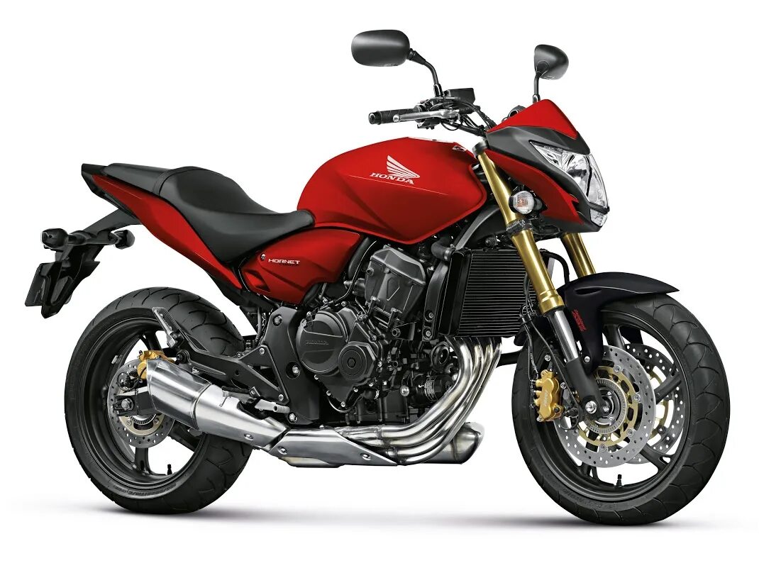 Honda cb600f Hornet. Honda CB 600 Hornet. Honda Hornet 2009. Honda Хорнет 600.