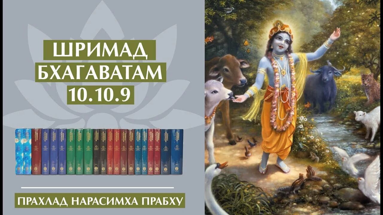 Брихад бхагаватамрита. Русскин шримад слушать. Бхагавад гита на санскрите. 2. 7.