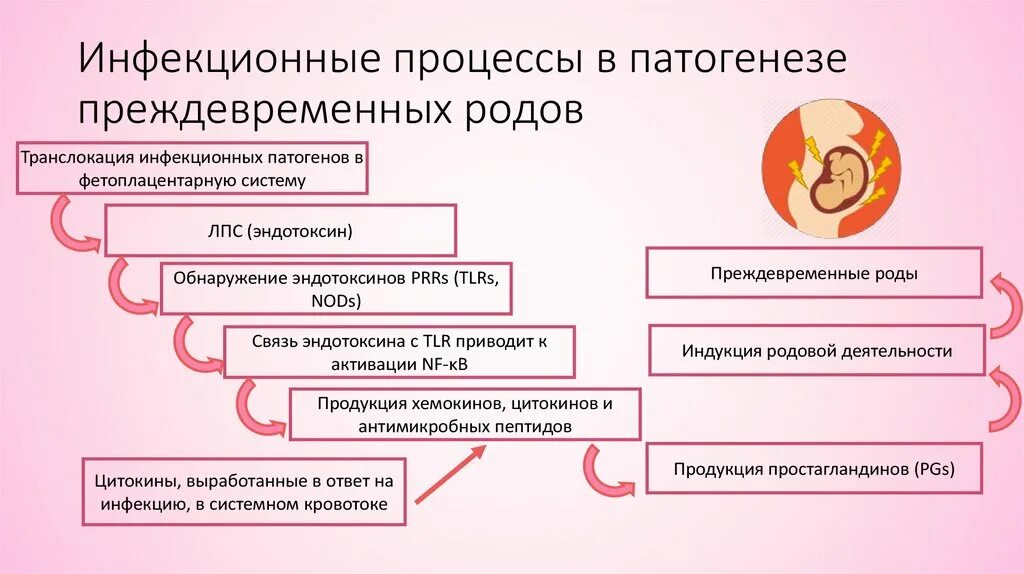 Преждевременные роды по утвержденным клиническим рекомендациям. Периоды преждевременных родов. Начавшиеся преждевременные роды. Клинические признаки преждевременных родов. Группа риска преждевременных родов.