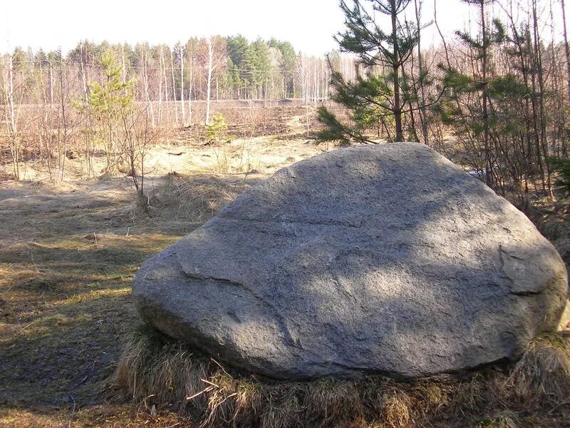 псковская земля мелколесье валуны голубые. ревякинский валун. камни-следовики псковской земли. синь-камень переславль залесский. валун званчи островский район псковская область.