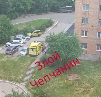 Пушкино женщина выпала из окна