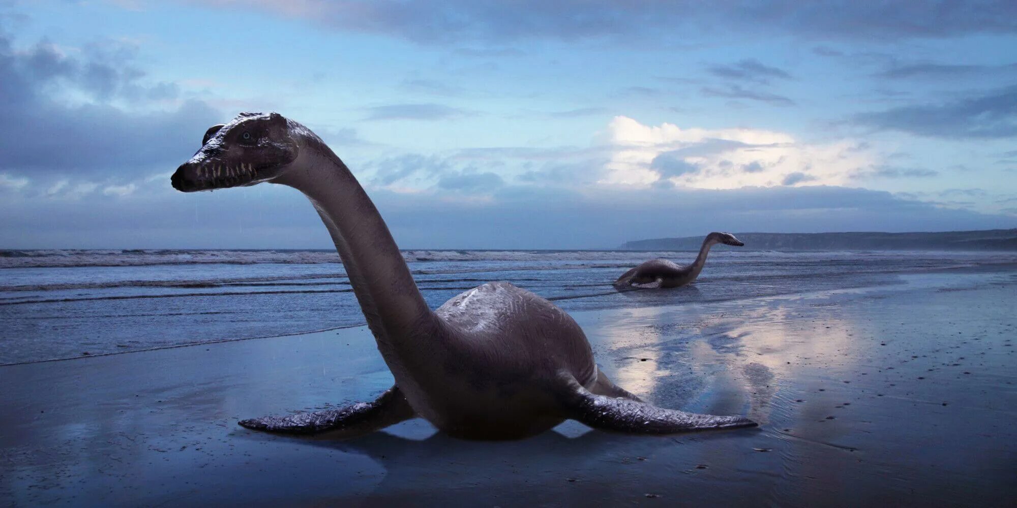 Огромное непонятное существо в океане. Древние лемурийцы и атланты. Гигантские кальмары и осьминоги. Кашалот хищник. Самое большое существо в океане.