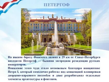 Какие учреждение находится