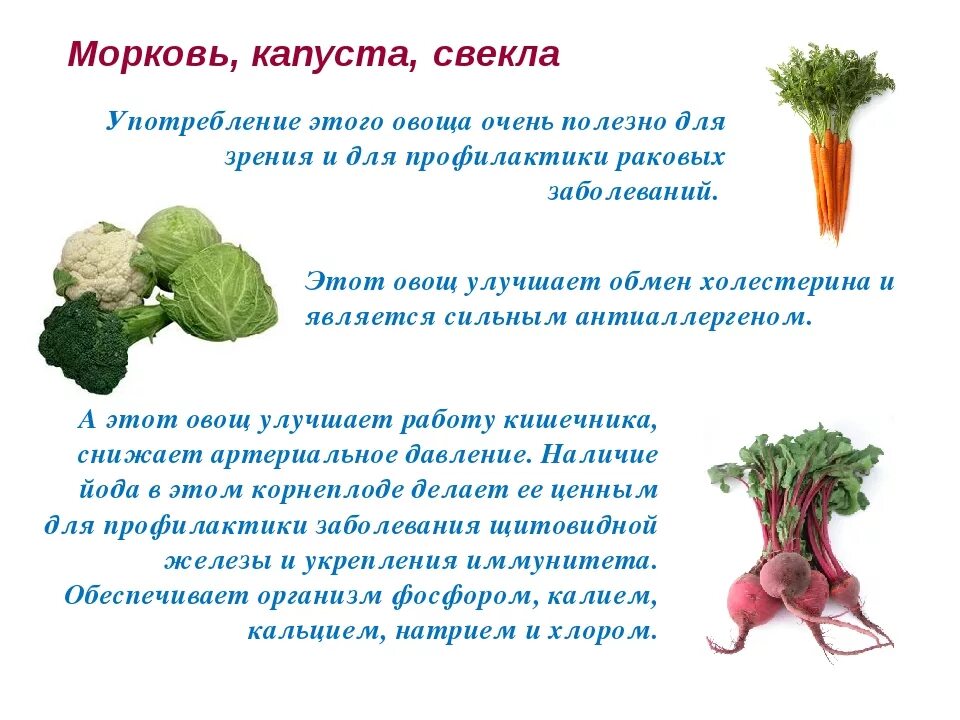 Какой витамин содержится в капусте