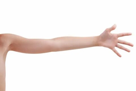 Сайт о здоровье рук, локтей и плеч 