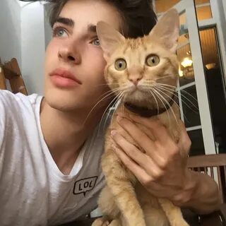 Kitten boys
