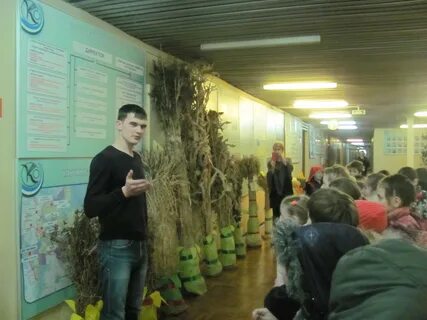 Федеральный алтайский научный центр агробиотехнологий