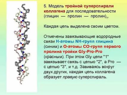 Вторичная аминокислота