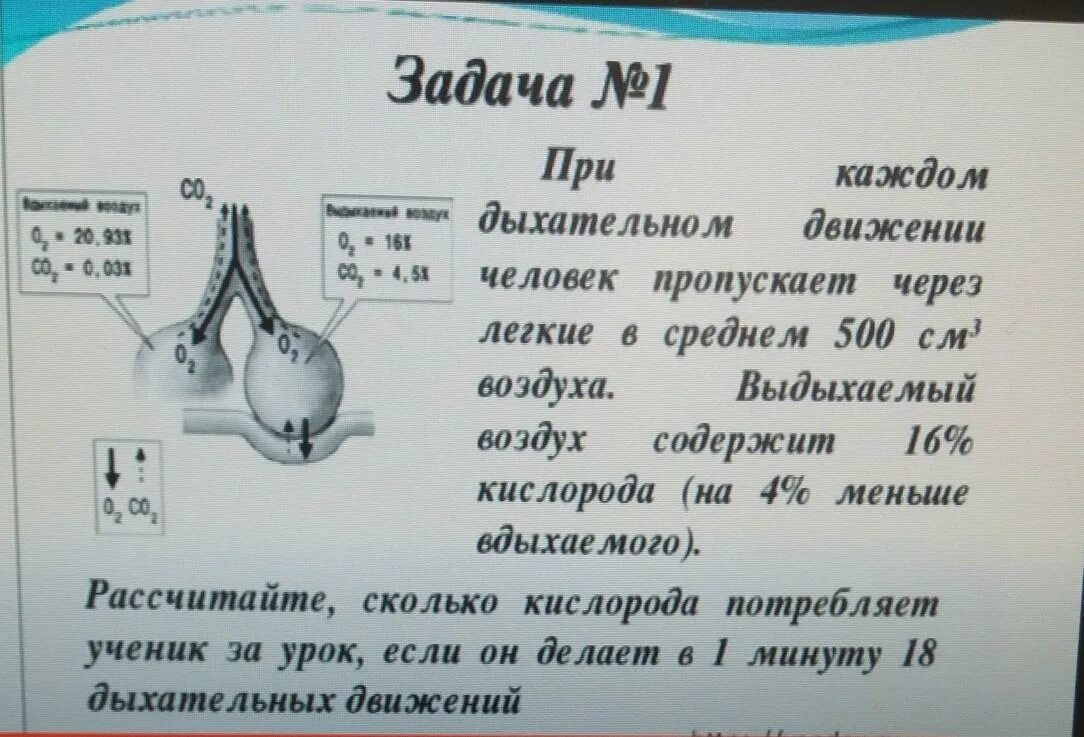 Сколько кислорода выдыхаемом человеком. Сколько кислорода потребляет человек. Выдыхаемый воздух за минуту. Сосчитайте сколько вы делаете дыхательных движений за 1 минуту. Опыт " выдыхаемый воздух содержит водяной пар".