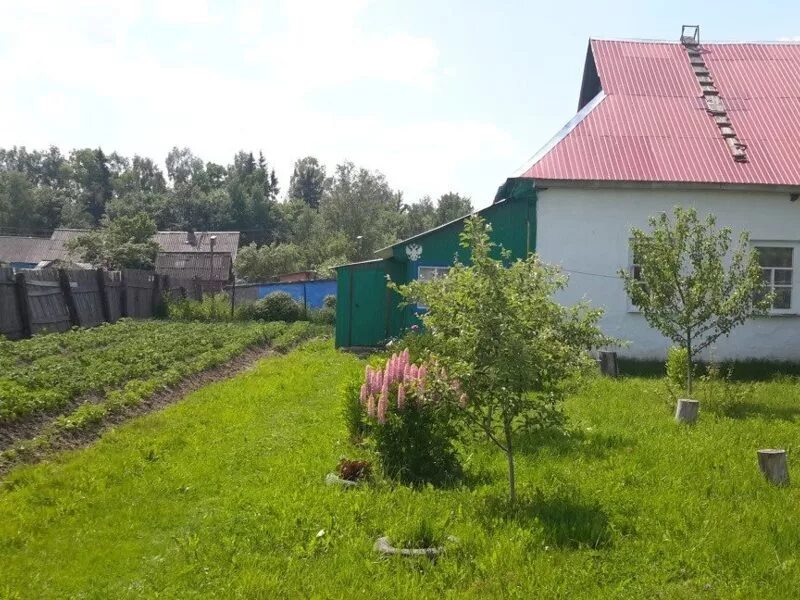 Погода чипляево на 10 дней калужская область. Погода чипляево на 10 дней калужская область. Чипляево калужская область. Чипляево калужская область. Поселок чипляево калужская область.
