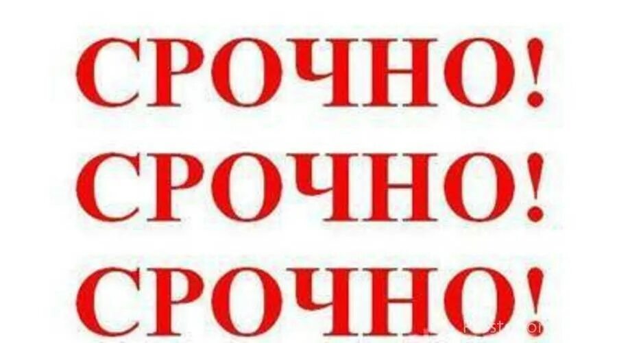 Отец работает сегодня срочно. Срочно. срочно картинка. срочно надпись. срочно картинки с надписью.
