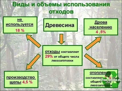 Тип энергии получаемый из древесины